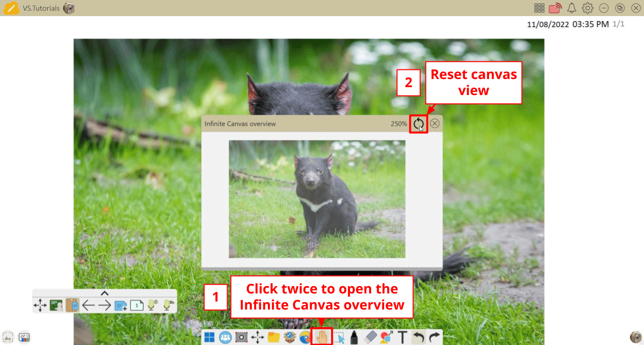 myViewBoard Whiteboard for Windows Infinite Canvas reset view