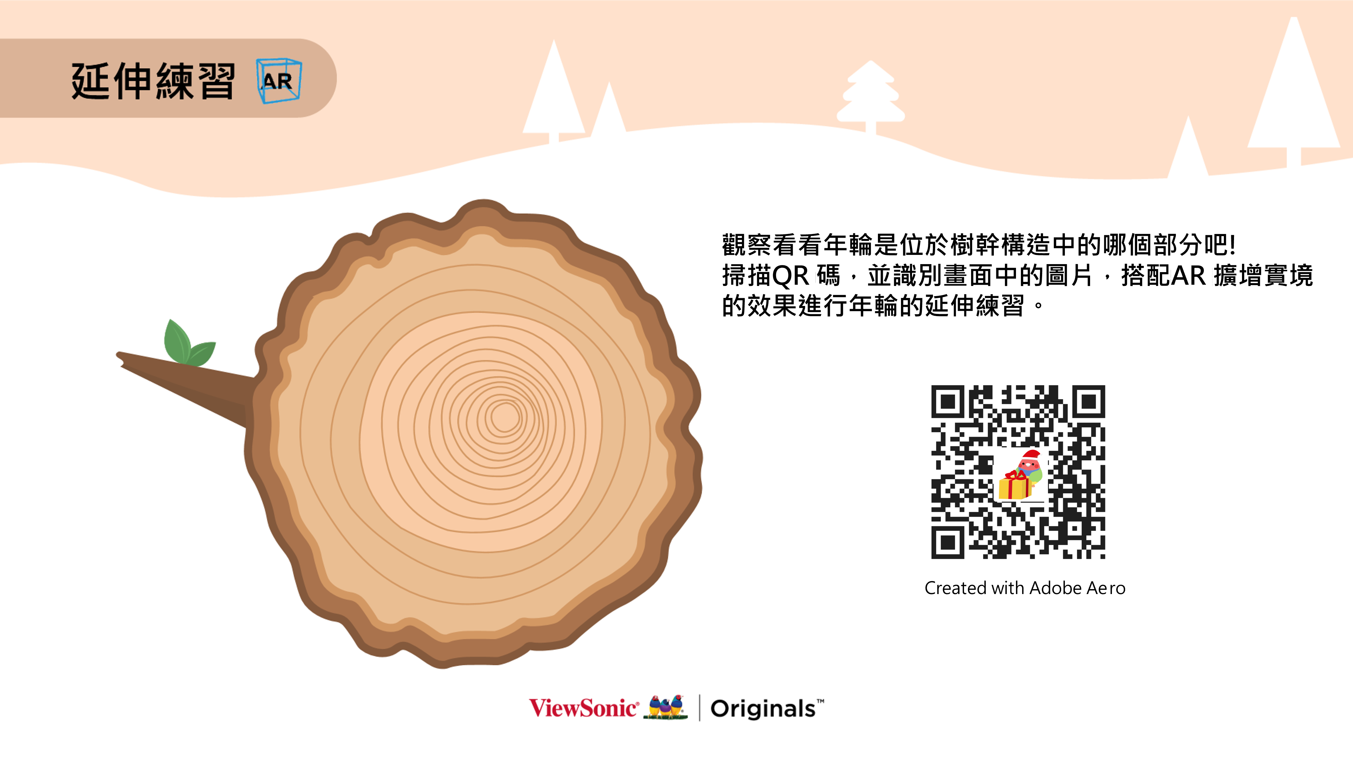 AR擴增實境_樹幹構造